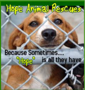 HopeAnimalRescues
