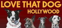 love-that-dog-hollywood.jpg